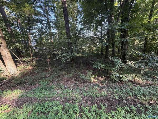 0.53 Acres of Residential Land for Sale in Guntersville, Alabama