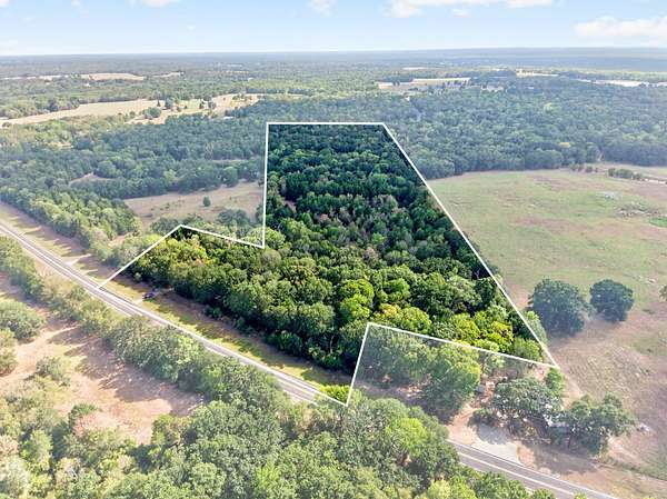 16.3 Acres of Recreational & Residential Land for Sale in Cayuga, Texas