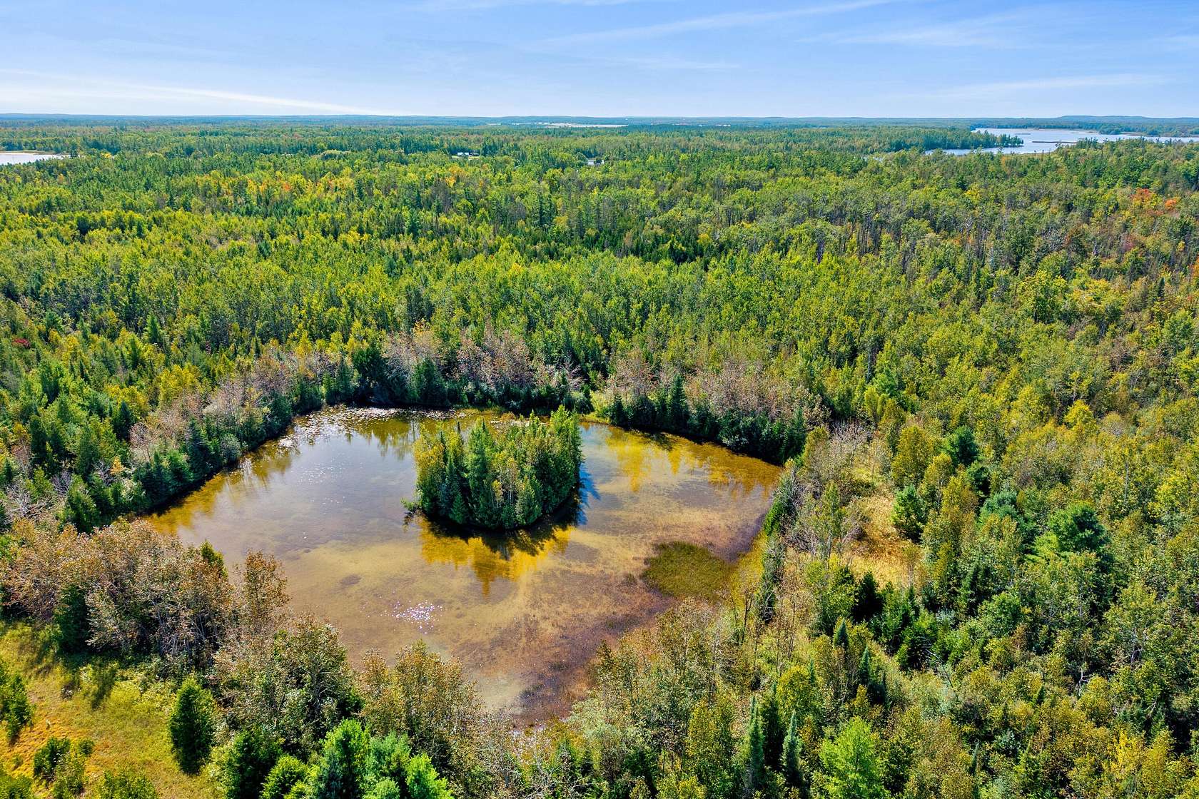 130 Acres of Recreational & Residential Land for Sale in Alpena, Michigan
