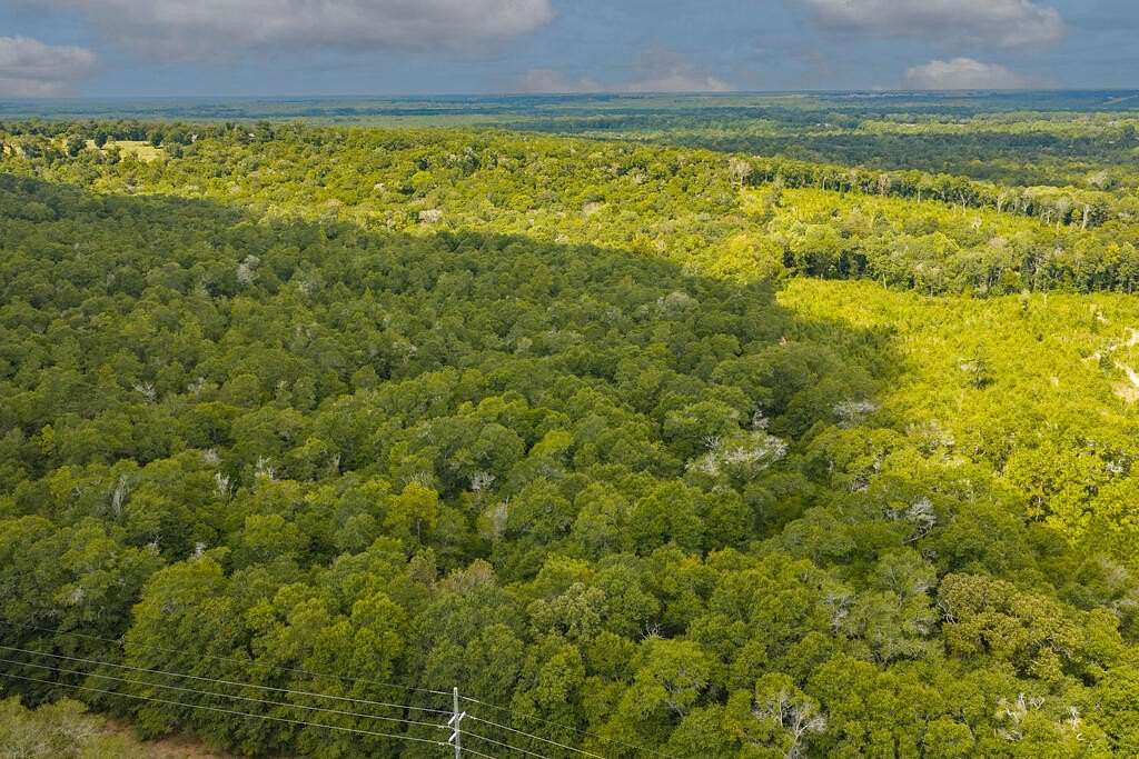 117 Acres of Recreational Land for Sale in Newton, Alabama