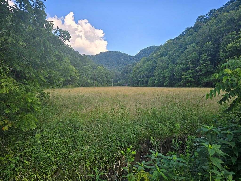 81.4 Acres of Land for Auction in North Tazewell, Virginia