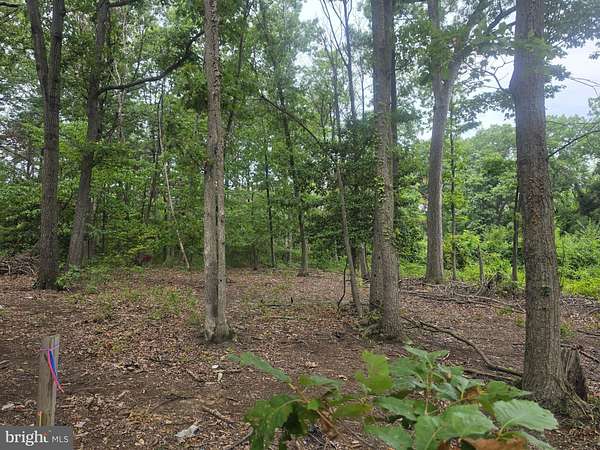 0.28 Acres of Residential Land for Sale in Hyattsville, Maryland