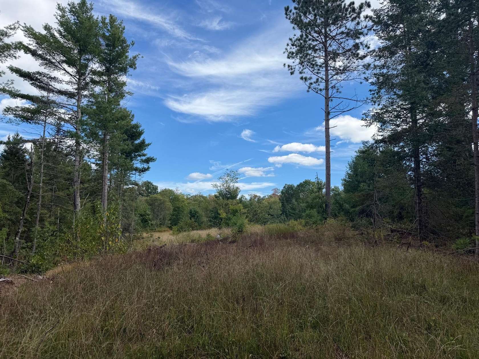 1.52 Acres of Residential Land for Sale in Minocqua, Wisconsin