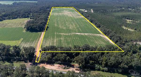 40 Acres of Agricultural & Residential Land for Sale in Milton, Florida