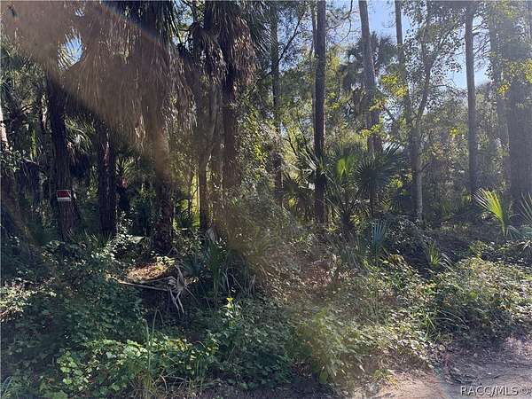 2 Acres of Land for Sale in Inglis, Florida