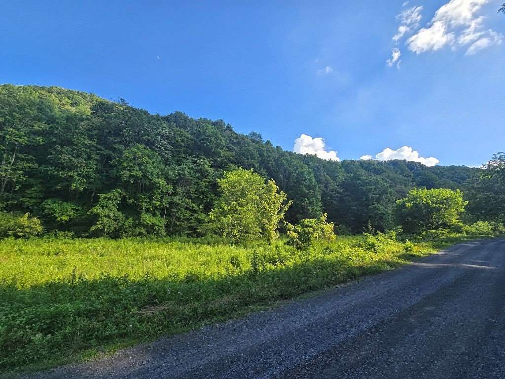 70 Acres of Land for Auction in North Tazewell, Virginia