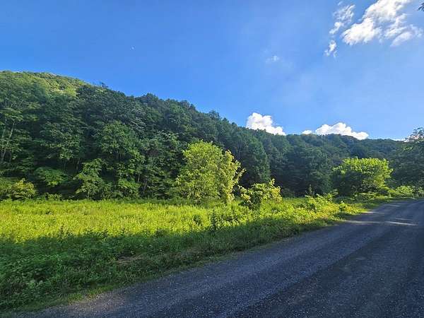 70 Acres of Land for Auction in North Tazewell, Virginia