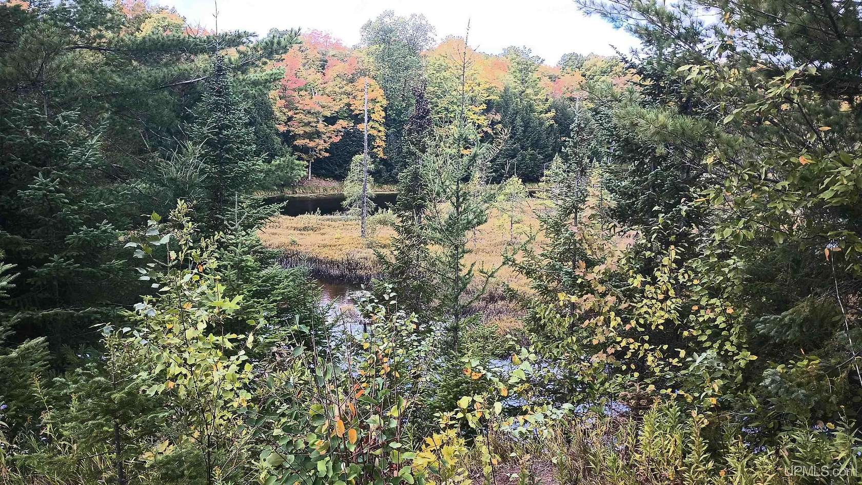 1 Acre of Residential Land for Sale in Bessemer, Michigan