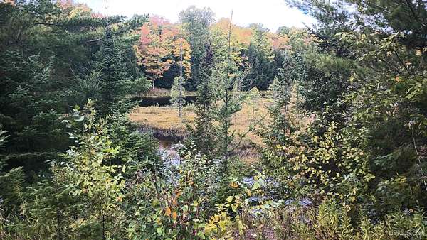 1 Acre of Residential Land for Sale in Bessemer, Michigan