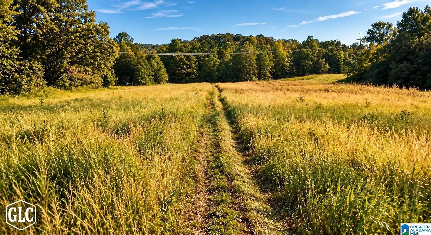187 Acres of Recreational & Residential Land for Sale in Sylacauga, Alabama