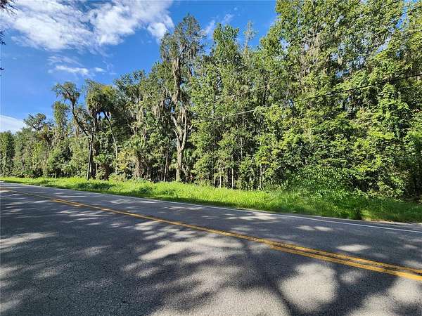 3 Acres of Residential Land for Sale in Micanopy, Florida