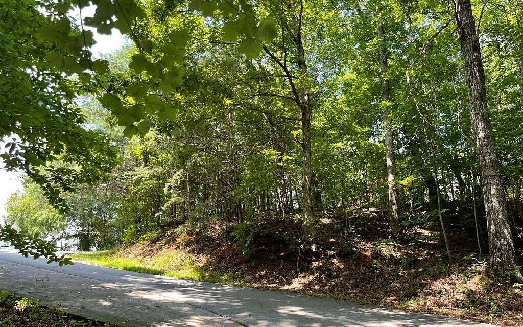 0.76 Acres of Land for Sale in Hiawassee, Georgia