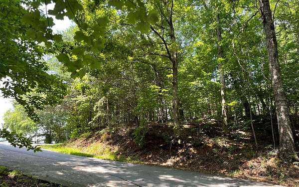 0.76 Acres of Land for Sale in Hiawassee, Georgia