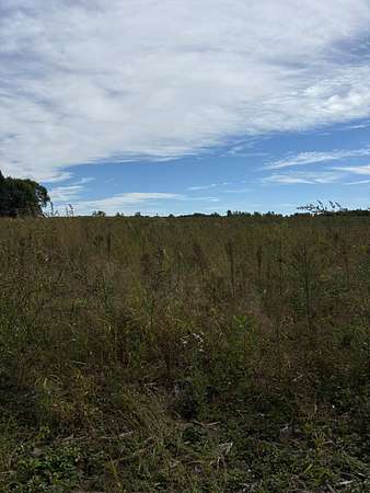 10 Acres of Land for Sale in Harris, Minnesota