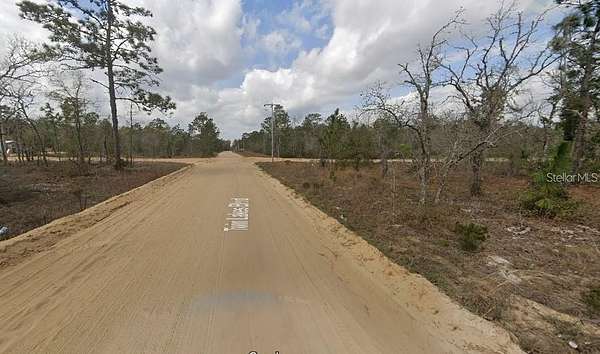 0.4 Acres of Residential Land for Sale in Interlachen, Florida