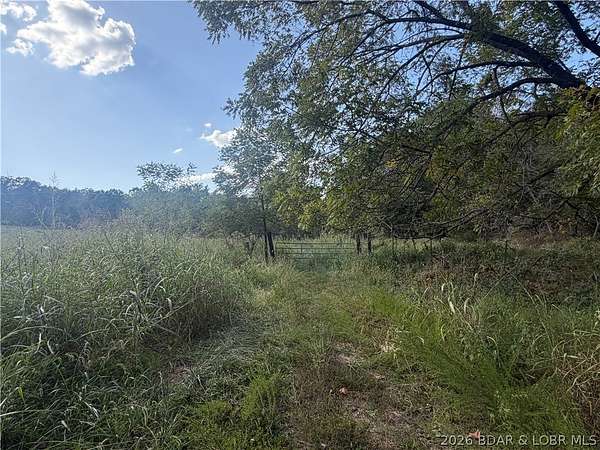 73.4 Acres of Recreational Land for Sale in Gravois Mills, Missouri