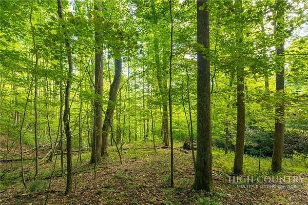 3 Acres of Land for Sale in Boone, North Carolina