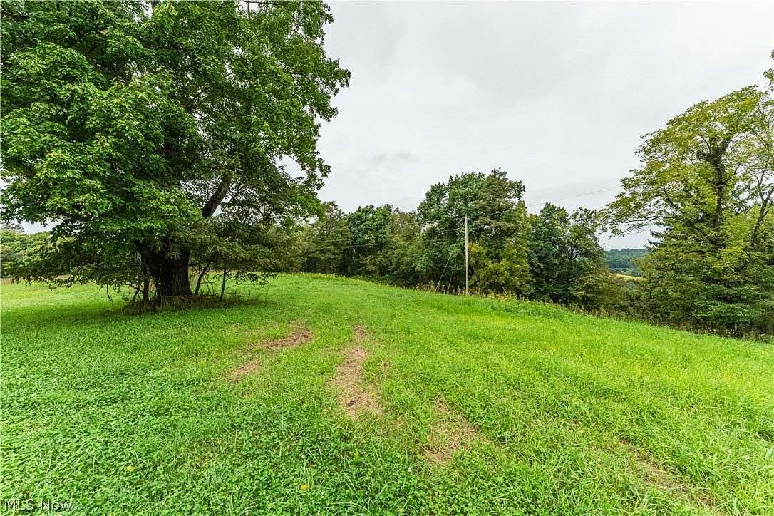 30.3 Acres of Recreational Land for Auction in Dresden, Ohio