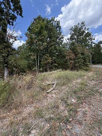 0.28 Acres of Land for Sale in Bella Vista, Arkansas