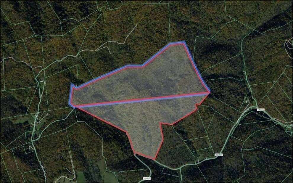 95 Acres of Land for Auction in Cedar Bluff, Virginia