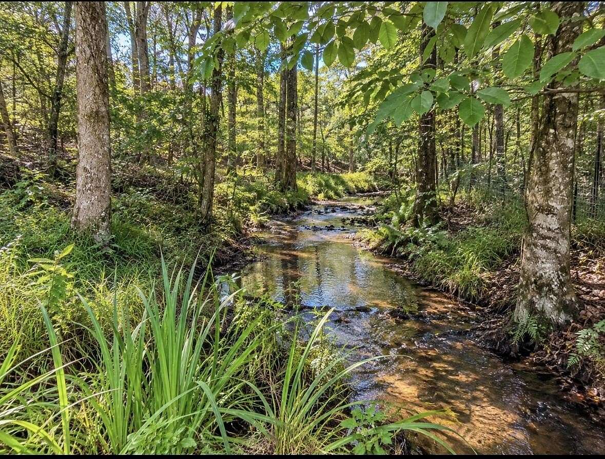 40 Acres of Improved Land for Sale in Baker, Florida