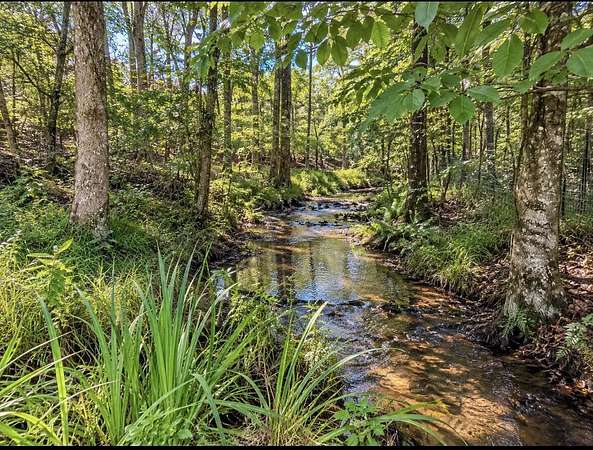 40 Acres of Improved Land for Sale in Baker, Florida