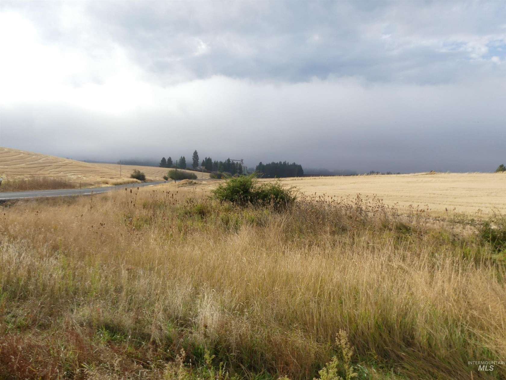 31 Acres of Land for Sale in Kendrick, Idaho