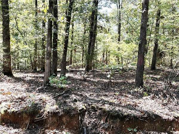 7.28 Acres of Residential Land for Sale in Mountainburg, Arkansas