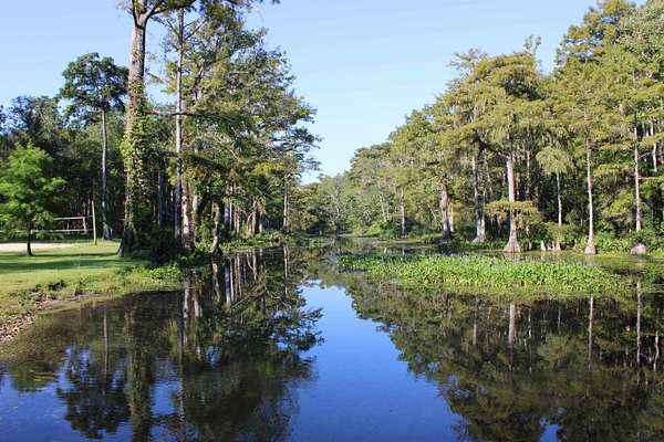 8 Acres of Land for Sale in Monticello, Florida