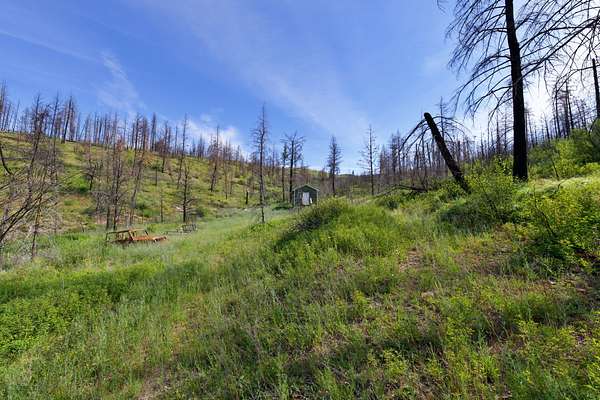 40 Acres of Land for Sale in Paradise, Montana
