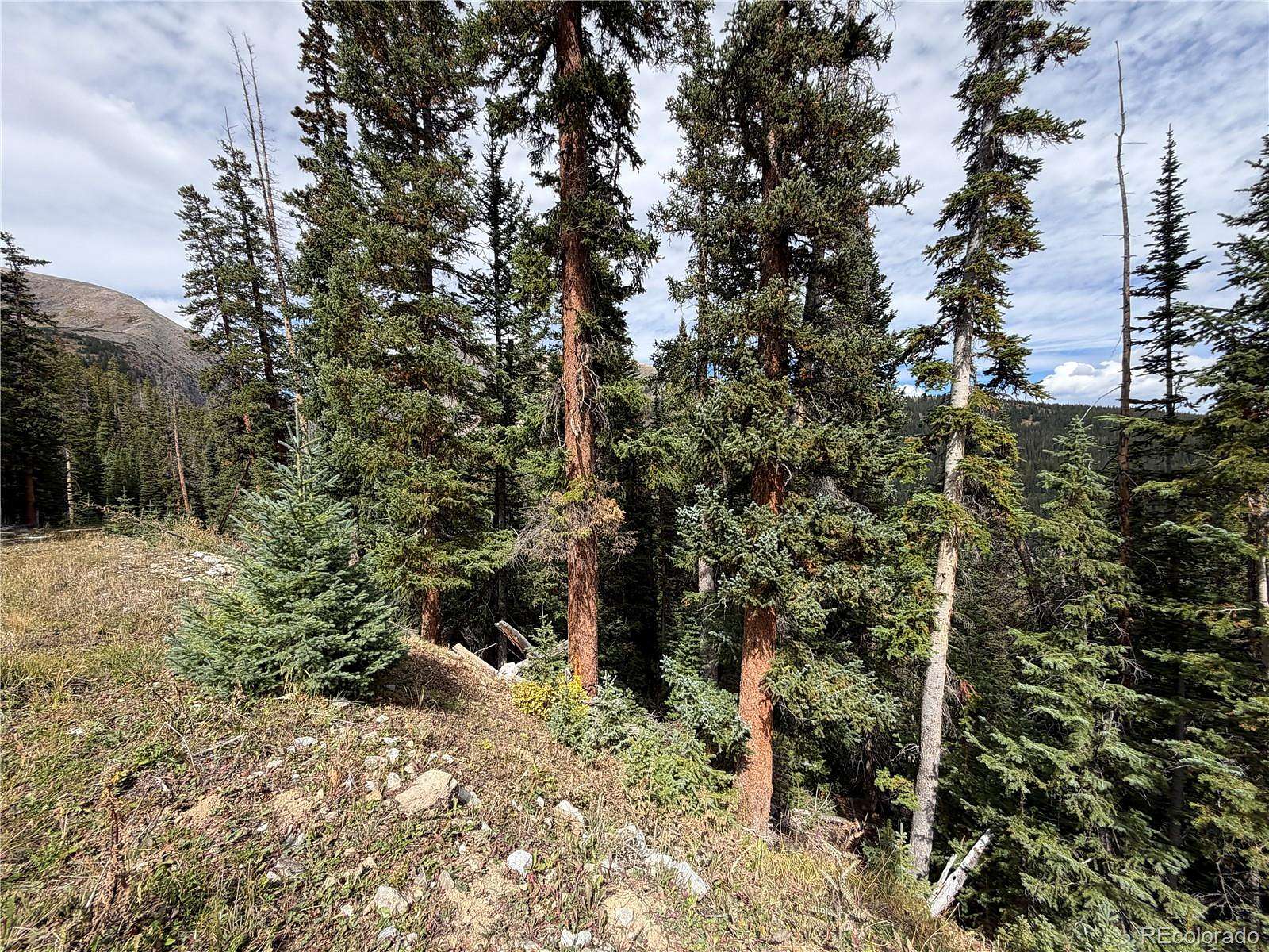 0.59 Acres of Residential Land for Sale in Breckenridge, Colorado