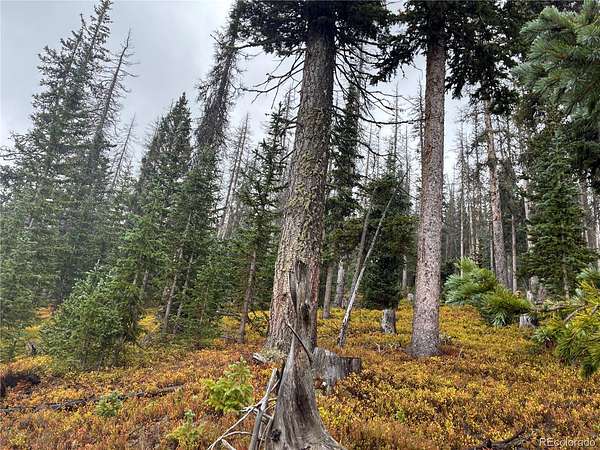 7.5 Acres of Land for Sale in San Luis, Colorado