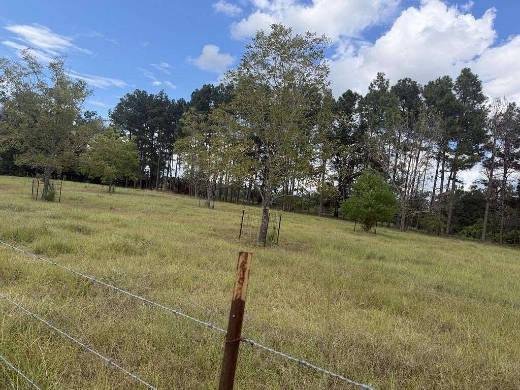 83.3 Acres of Recreational & Residential Land for Sale in Colquitt, Georgia