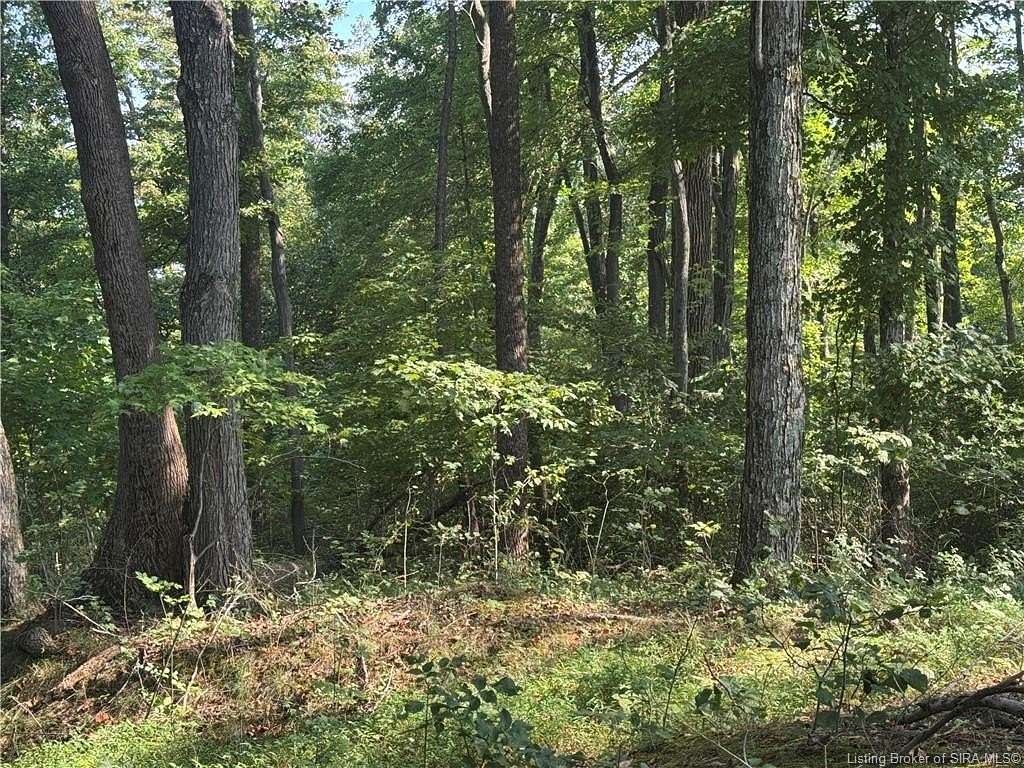 30 Acres of Land for Sale in Elizabeth, Indiana