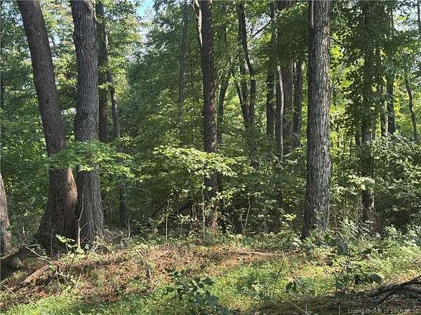 30 Acres of Land for Sale in Elizabeth, Indiana