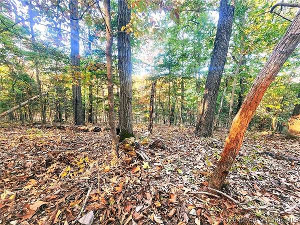297 Acres of Land for Sale in Ulman, Missouri