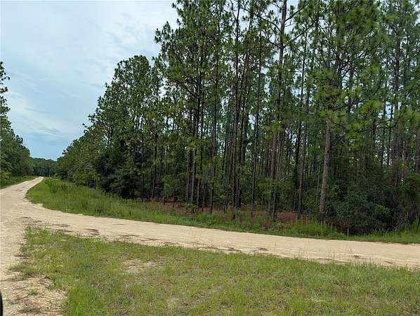1 Acre of Residential Land for Sale in Ocala, Florida
