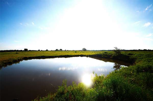 35.5 Acres of Land for Sale in Pottsboro, Texas