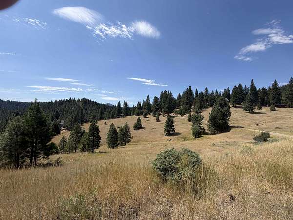 0.99 Acres of Residential Land for Sale in Portola, California