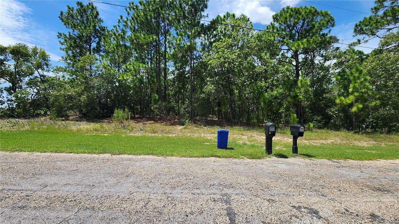 0.31 Acres of Residential Land for Sale in Citrus Springs, Florida