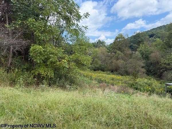 17.6 Acres of Land for Sale in Belington, West Virginia