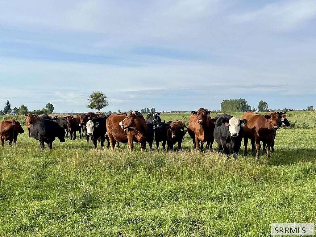 34.6 Acres of Land for Sale in Rexburg, Idaho