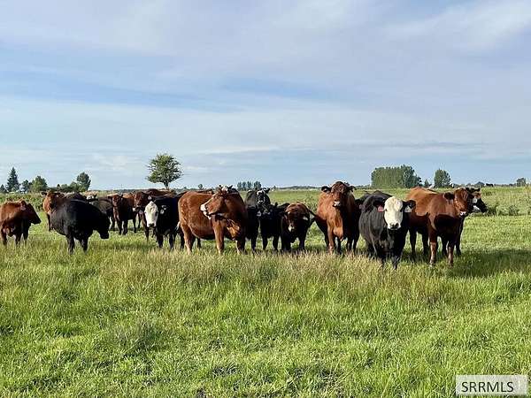 34.6 Acres of Land for Sale in Rexburg, Idaho