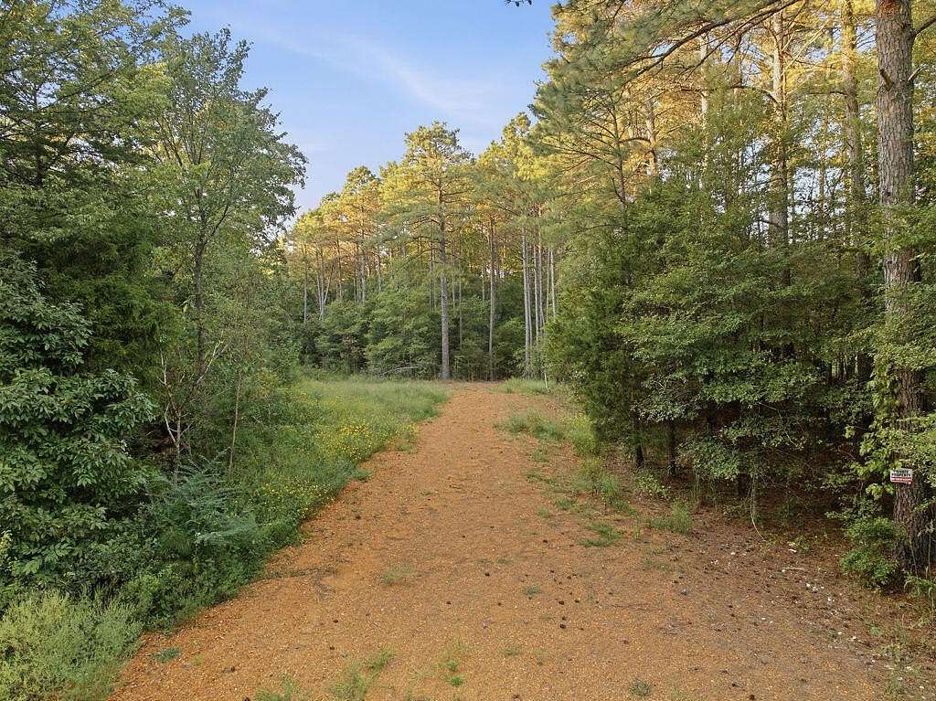 89.4 Acres of Recreational & Residential Land for Sale in New Concord, Kentucky