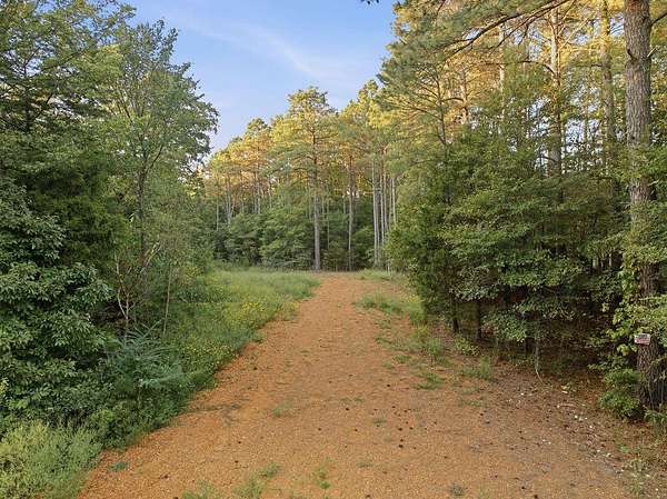 89.4 Acres of Recreational & Residential Land for Sale in New Concord, Kentucky
