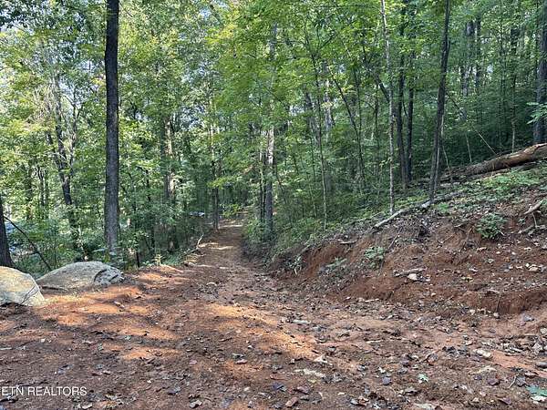 8.54 Acres of Land for Sale in Riceville, Tennessee