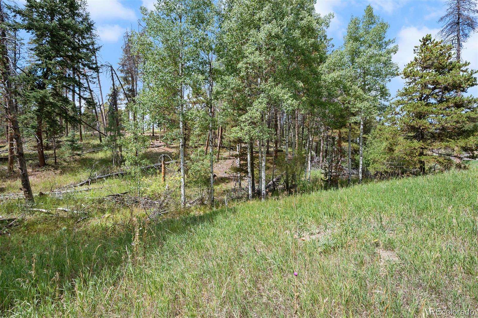 0.67 Acres of Residential Land for Sale in Conifer, Colorado