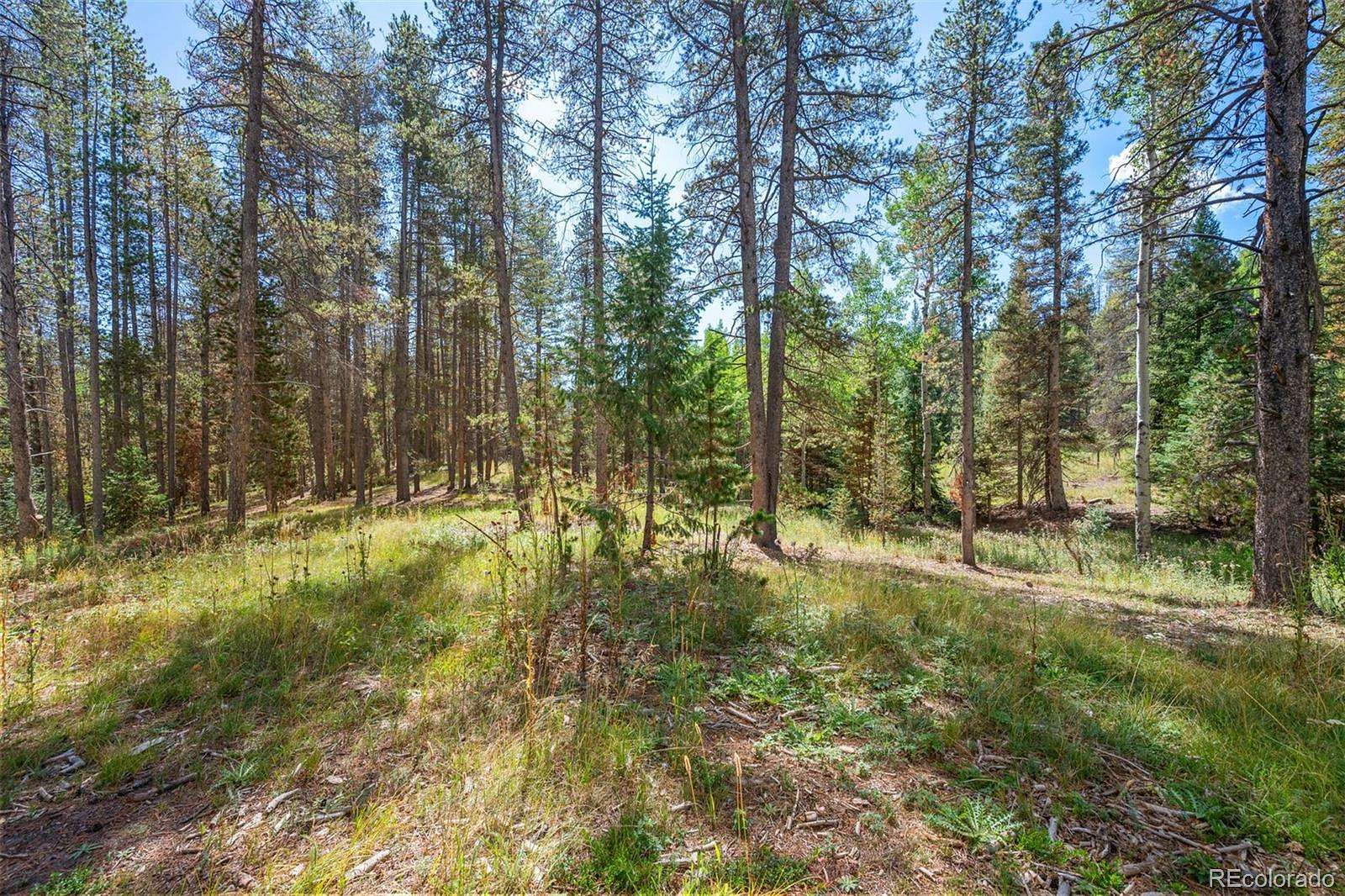 2 Acres of Commercial Land for Sale in Conifer, Colorado