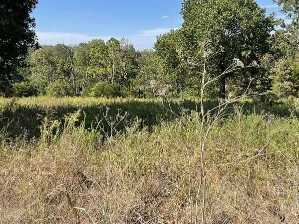 15.1 Acres of Land for Sale in Hurley, Missouri