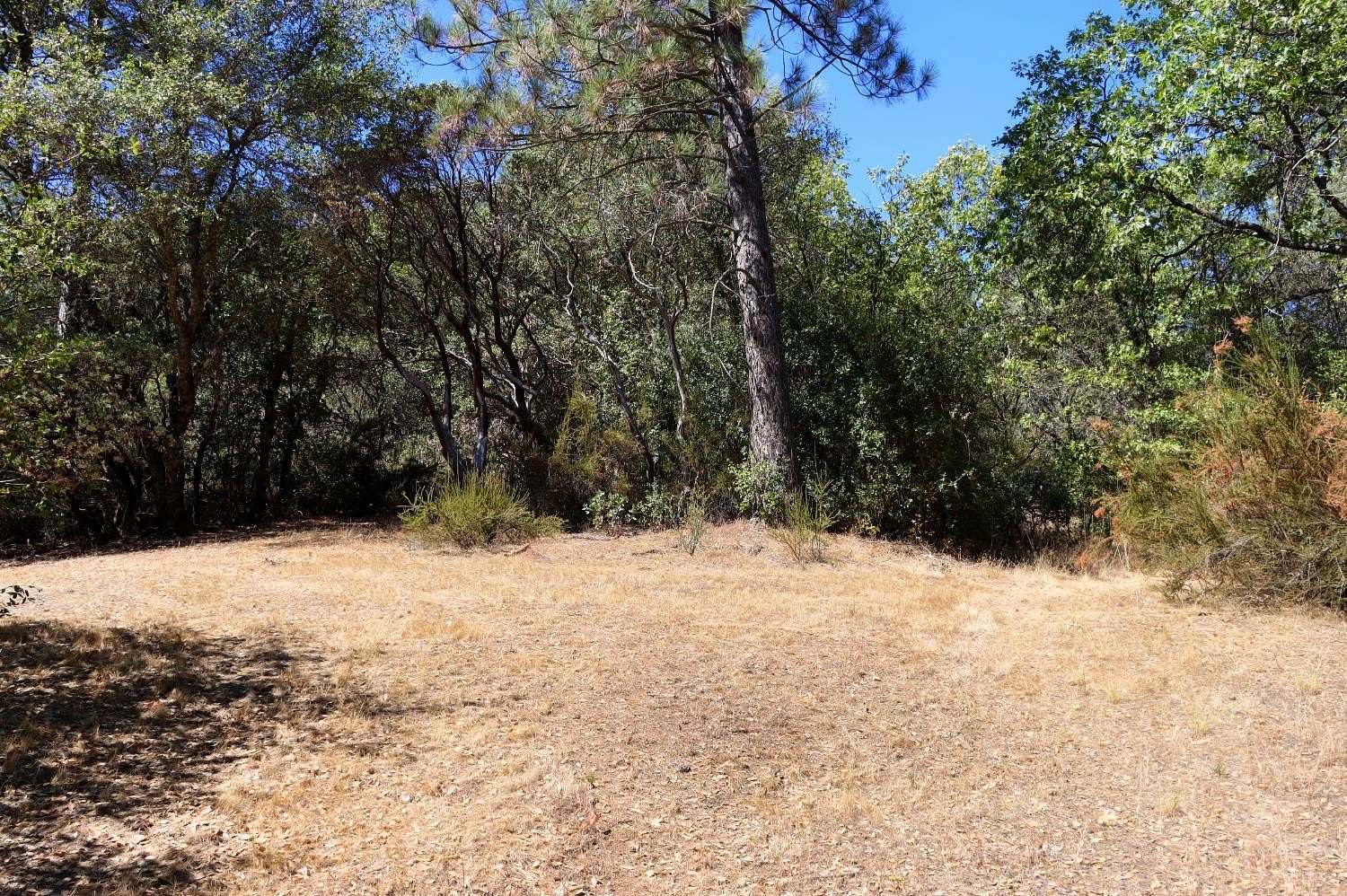 Residential Land for Sale in Midpines, California